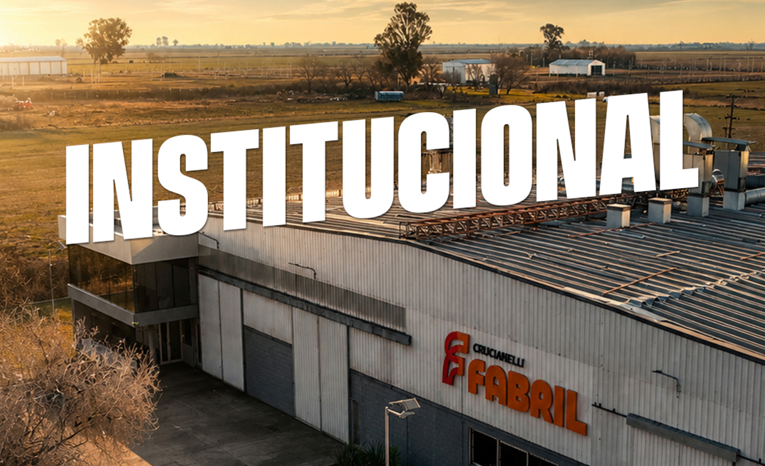 Institucional